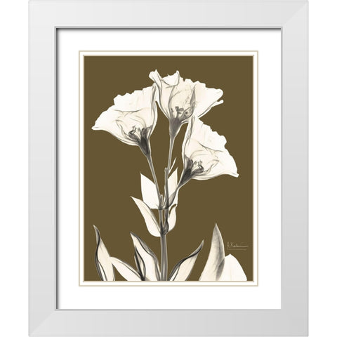 Gentian Fall White Modern Wood Framed Art Print with Double Matting by Koetsier, Albert