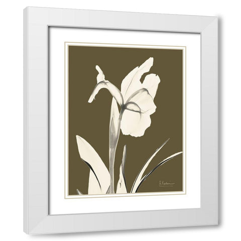 Iris Fall White Modern Wood Framed Art Print with Double Matting by Koetsier, Albert