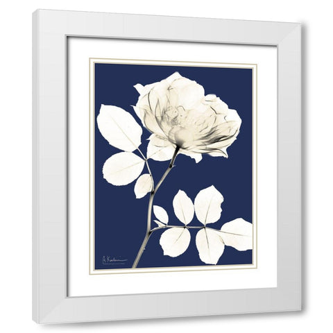 Rose Cool Dynasty 1 White Modern Wood Framed Art Print with Double Matting by Koetsier, Albert