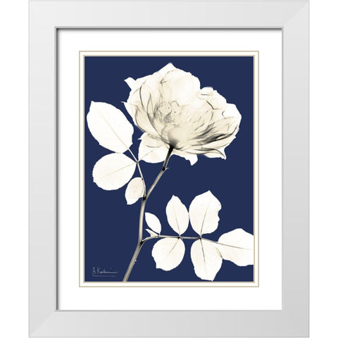 Rose Cool Dynasty 1 White Modern Wood Framed Art Print with Double Matting by Koetsier, Albert