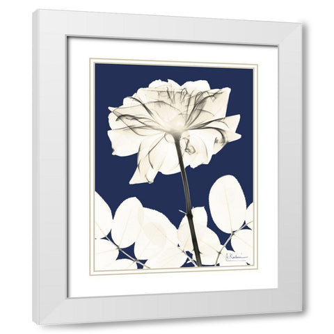 Rose Cool Dynasty 2 White Modern Wood Framed Art Print with Double Matting by Koetsier, Albert