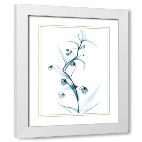 Blue Globe Lily White Modern Wood Framed Art Print with Double Matting by Koetsier, Albert