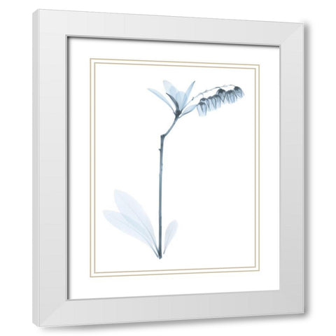 Light Lily Of The Vally Bush White Modern Wood Framed Art Print with Double Matting by Koetsier, Albert