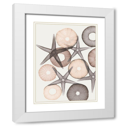 Earth Toned Pythagoras 2 White Modern Wood Framed Art Print with Double Matting by Koetsier, Albert