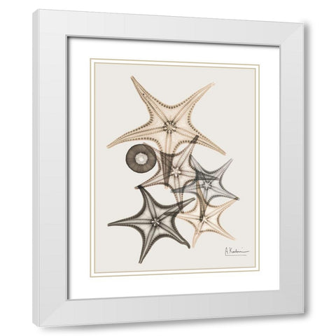 Sand Starfish 3 White Modern Wood Framed Art Print with Double Matting by Koetsier, Albert