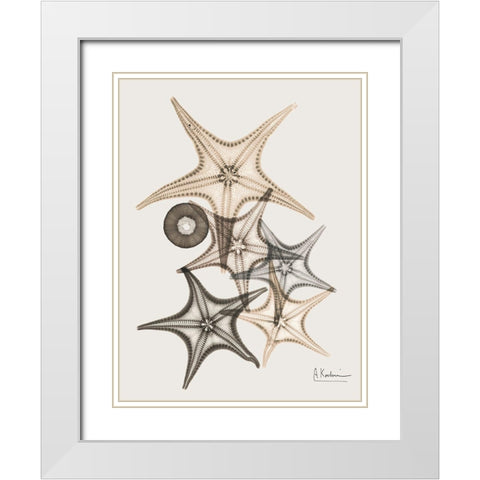 Sand Starfish 3 White Modern Wood Framed Art Print with Double Matting by Koetsier, Albert