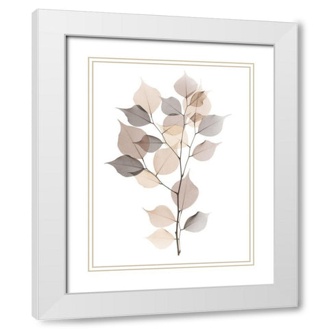 Sandy Myrtle Tree  White Modern Wood Framed Art Print with Double Matting by Koetsier, Albert