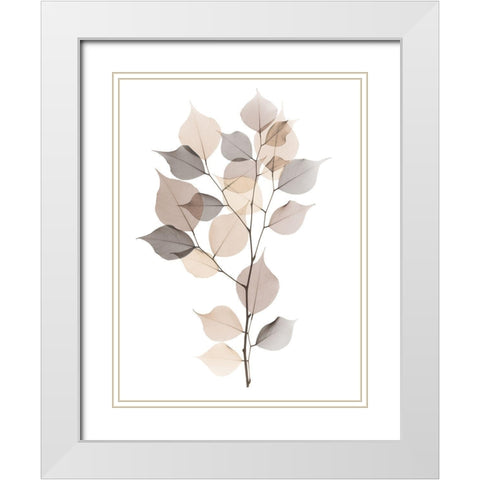 Sandy Myrtle Tree  White Modern Wood Framed Art Print with Double Matting by Koetsier, Albert