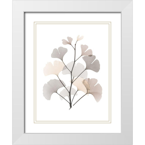 Desert Ginko White Modern Wood Framed Art Print with Double Matting by Koetsier, Albert