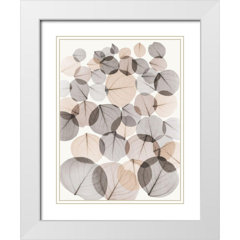 Sandy Baybean Leaves White Modern Wood Framed Art Print with Double Matting by Koetsier, Albert