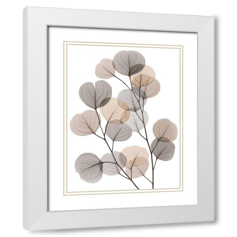 Earthy Eucalyptus Bunch White Modern Wood Framed Art Print with Double Matting by Koetsier, Albert