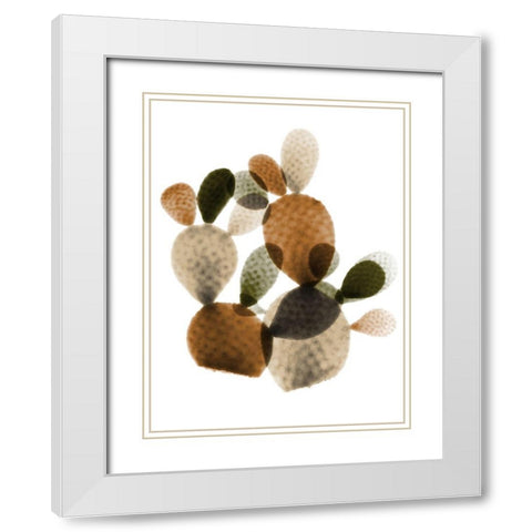 Urban Cactus Bunch 1 White Modern Wood Framed Art Print with Double Matting by Koetsier, Albert