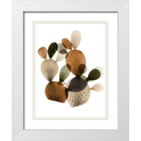 Urban Cactus Bunch 1 White Modern Wood Framed Art Print with Double Matting by Koetsier, Albert