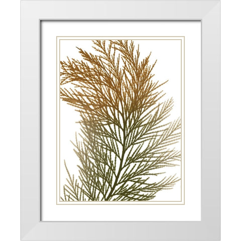 Urban Incense Cedar White Modern Wood Framed Art Print with Double Matting by Koetsier, Albert