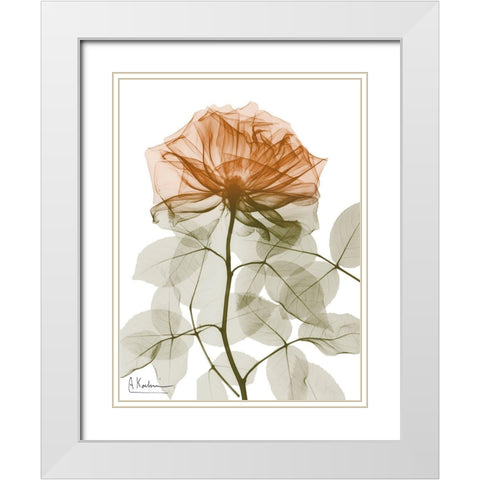 Urban Jungle Rose 1 White Modern Wood Framed Art Print with Double Matting by Koetsier, Albert