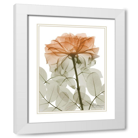 Urban Jungle Rose 2 White Modern Wood Framed Art Print with Double Matting by Koetsier, Albert