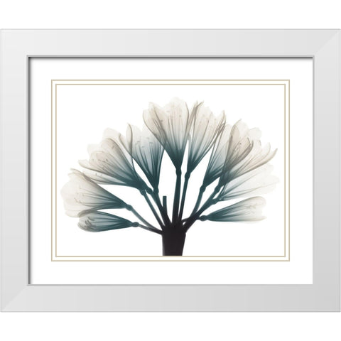 Lily Of The Jungle White Modern Wood Framed Art Print with Double Matting by Koetsier, Albert