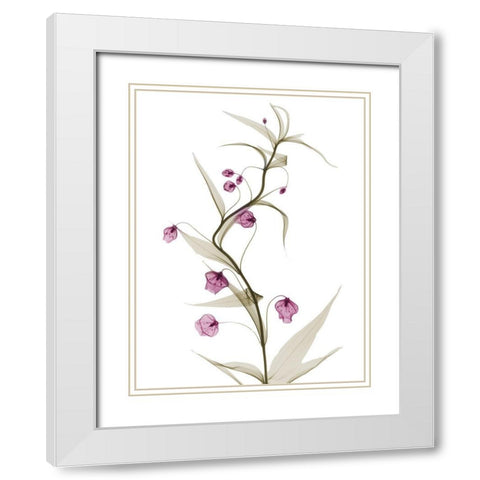 Spring Lily L141 White Modern Wood Framed Art Print with Double Matting by Koetsier, Albert