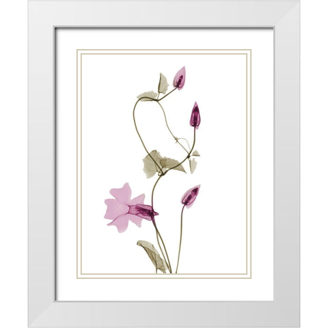 Spring Disticta L132 White Modern Wood Framed Art Print with Double Matting by Koetsier, Albert