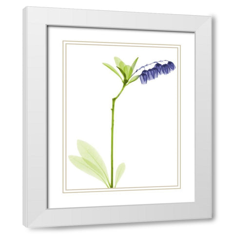 Rowdy Lily Of The Vally Bush H07 White Modern Wood Framed Art Print with Double Matting by Koetsier, Albert