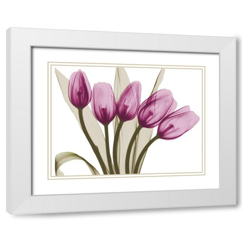 Vibrant Marching Tulips White Modern Wood Framed Art Print with Double Matting by Koetsier, Albert