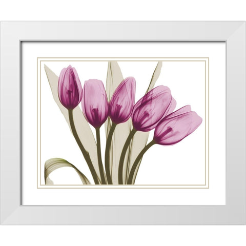 Vibrant Marching Tulips White Modern Wood Framed Art Print with Double Matting by Koetsier, Albert