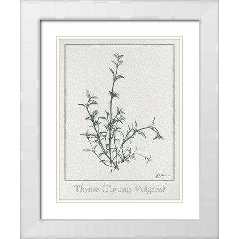 Thymus Vulgaris 2 White Modern Wood Framed Art Print with Double Matting by Koetsier, Albert