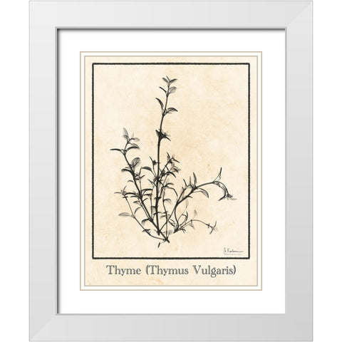Thymus Vulgaris White Modern Wood Framed Art Print with Double Matting by Koetsier, Albert