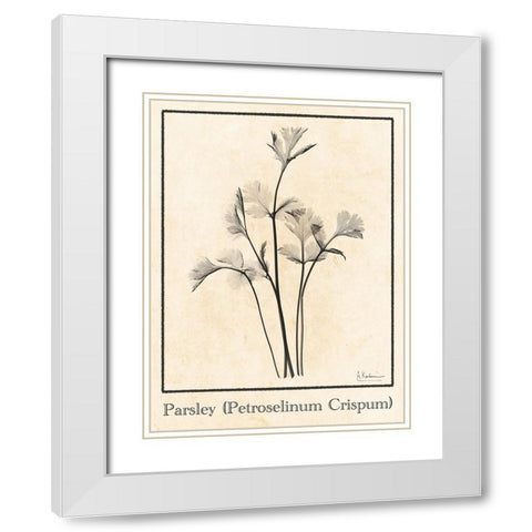 Parsley White Modern Wood Framed Art Print with Double Matting by Koetsier, Albert