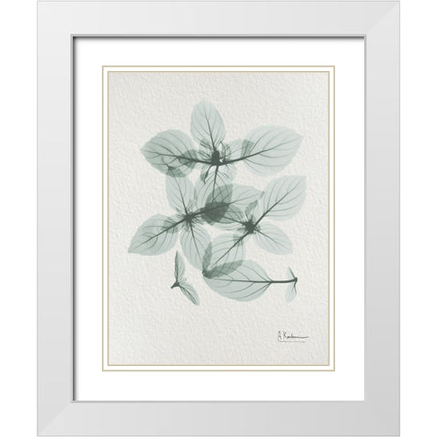 Basil Ocimum Basilicum 2 White Modern Wood Framed Art Print with Double Matting by Koetsier, Albert