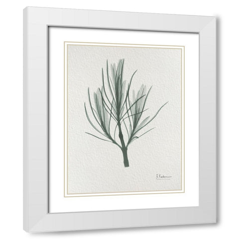 Rosemary 2 White Modern Wood Framed Art Print with Double Matting by Koetsier, Albert