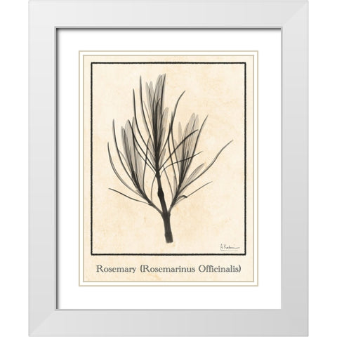 Rosemary White Modern Wood Framed Art Print with Double Matting by Koetsier, Albert