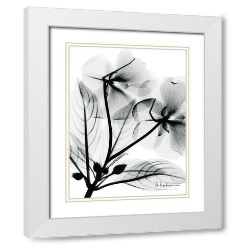 Impatient Growth White Modern Wood Framed Art Print with Double Matting by Koetsier, Albert