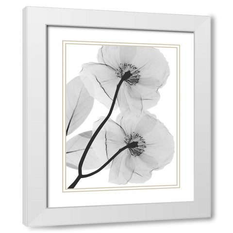 Kinetic Translation White Modern Wood Framed Art Print with Double Matting by Koetsier, Albert