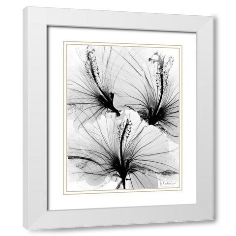 Floral Abstract 1 White Modern Wood Framed Art Print with Double Matting by Koetsier, Albert