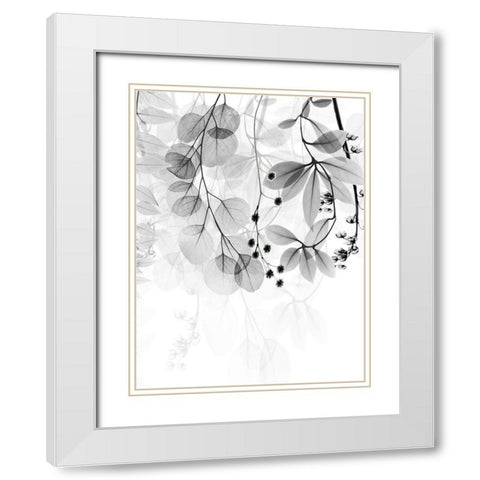 Complex Matter 1 White Modern Wood Framed Art Print with Double Matting by Koetsier, Albert