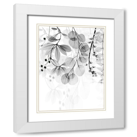 Complex Matter 2 White Modern Wood Framed Art Print with Double Matting by Koetsier, Albert