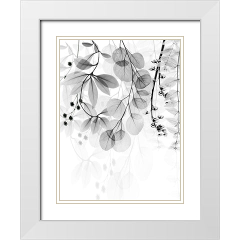 Complex Matter 2 White Modern Wood Framed Art Print with Double Matting by Koetsier, Albert