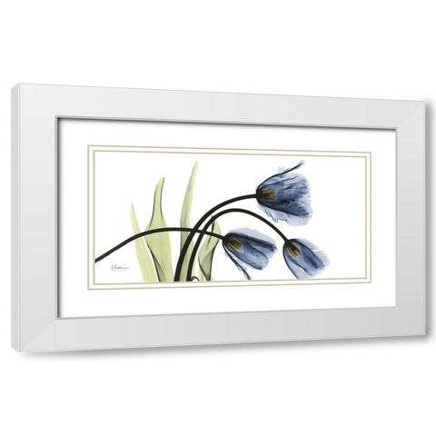 Tulip Blues White Modern Wood Framed Art Print with Double Matting by Koetsier, Albert