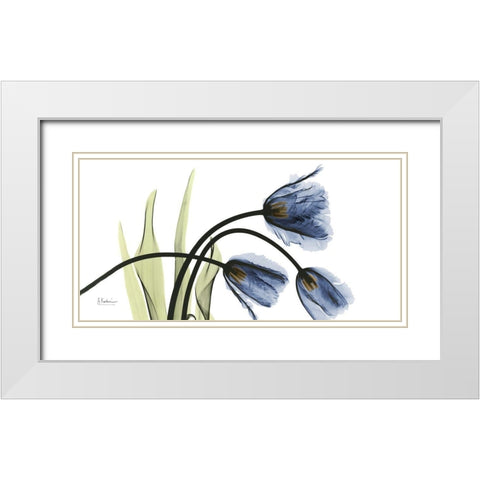 Tulip Blues White Modern Wood Framed Art Print with Double Matting by Koetsier, Albert