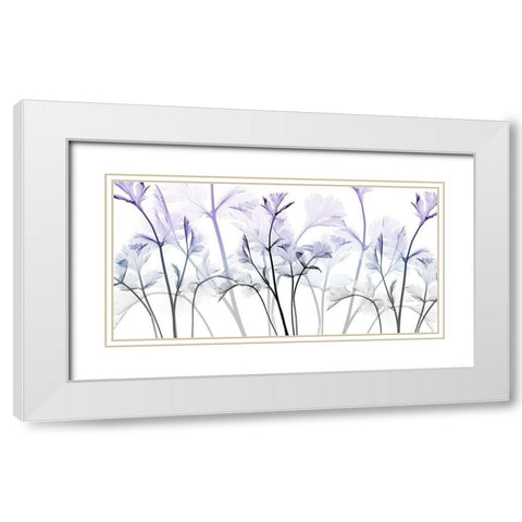 Amethyst Passion White Modern Wood Framed Art Print with Double Matting by Koetsier, Albert