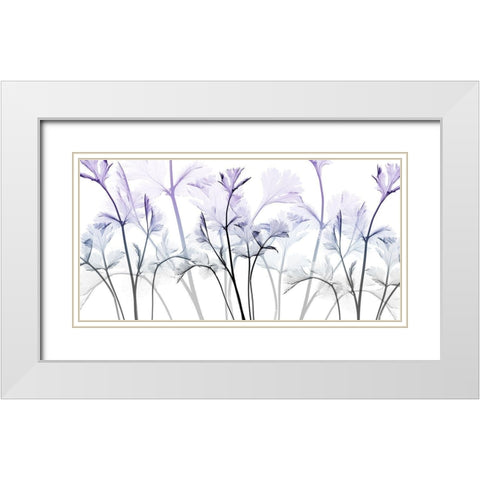 Amethyst Passion White Modern Wood Framed Art Print with Double Matting by Koetsier, Albert