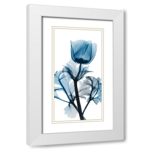 Sapphire Glam 1 White Modern Wood Framed Art Print with Double Matting by Koetsier, Albert