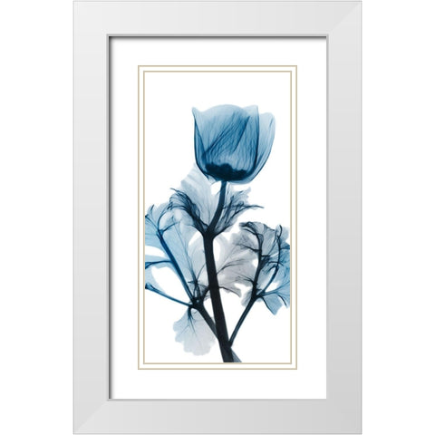 Sapphire Glam 1 White Modern Wood Framed Art Print with Double Matting by Koetsier, Albert