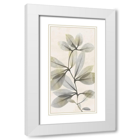 Sunkissed Growth 3 White Modern Wood Framed Art Print with Double Matting by Koetsier, Albert