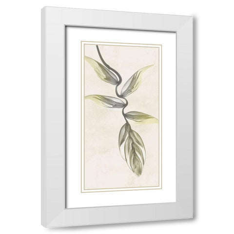 Sunkissed Growth 5 White Modern Wood Framed Art Print with Double Matting by Koetsier, Albert