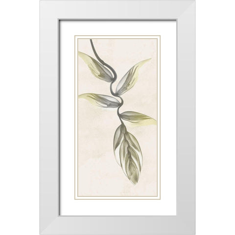 Sunkissed Growth 5 White Modern Wood Framed Art Print with Double Matting by Koetsier, Albert