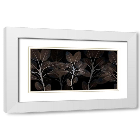 Cocoa Blooms 1 White Modern Wood Framed Art Print with Double Matting by Koetsier, Albert