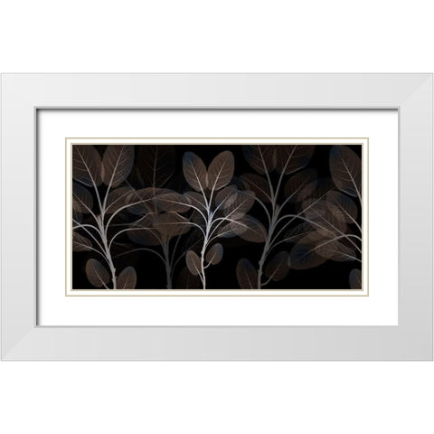 Cocoa Blooms 1 White Modern Wood Framed Art Print with Double Matting by Koetsier, Albert