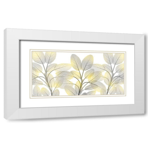 Illuminated Beauty 1 White Modern Wood Framed Art Print with Double Matting by Koetsier, Albert